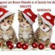 tacconelli